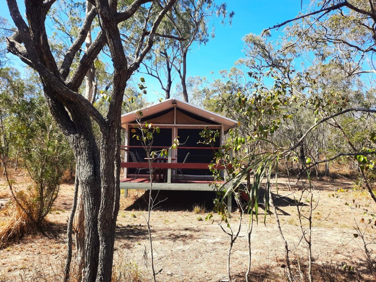 Wild Nature Lodge, Mareeba Wetlands Biboohra Exterior photo